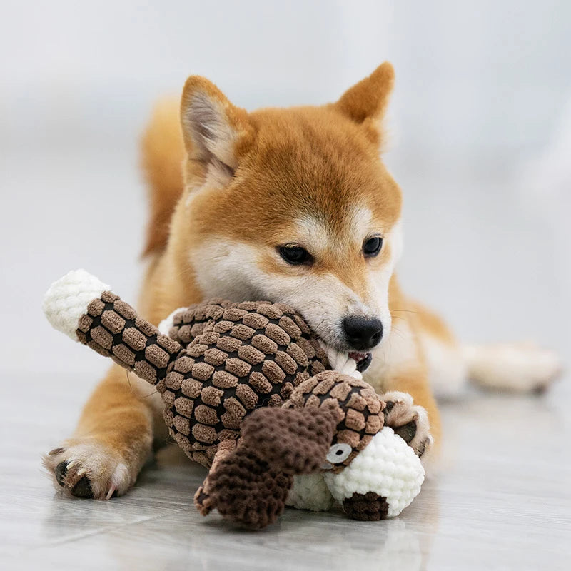 Jouet Peluche Chien Grinçant - Résistant Mâcheurs