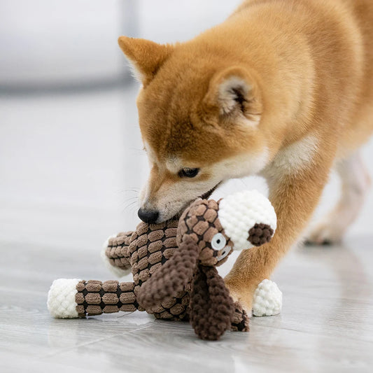 Jouet en peluche grinçant pour chien – Résistant, sonore, idéal grands mâcheurs