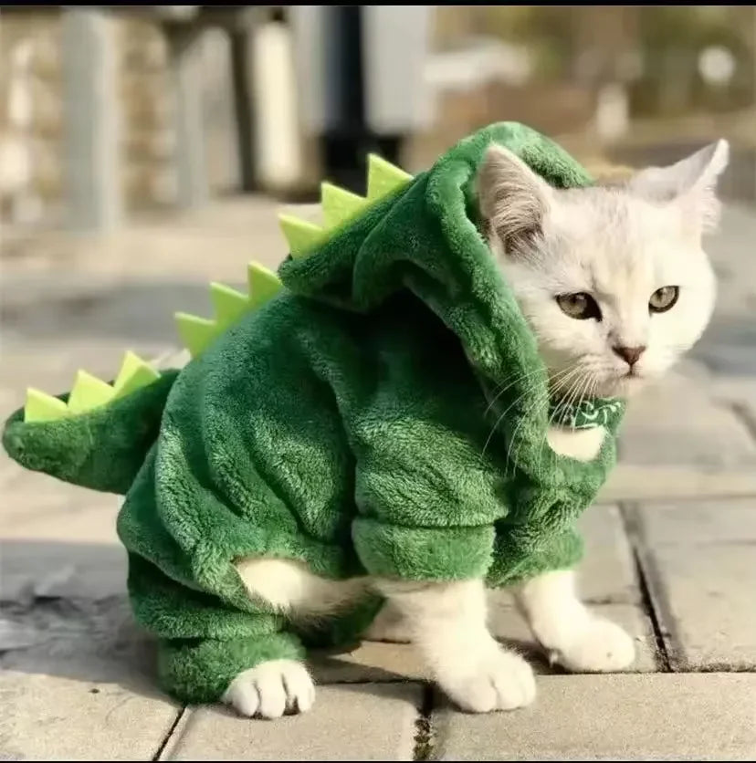 Costume Halloween Dinosaure - Votre Petit T-Rex Terrifiant