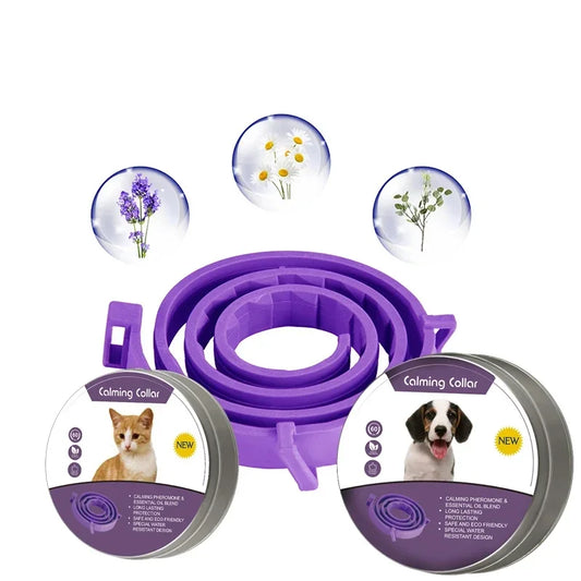 Collier apaisant violet pour chien et chat – Phéromones naturelles, 30 jours