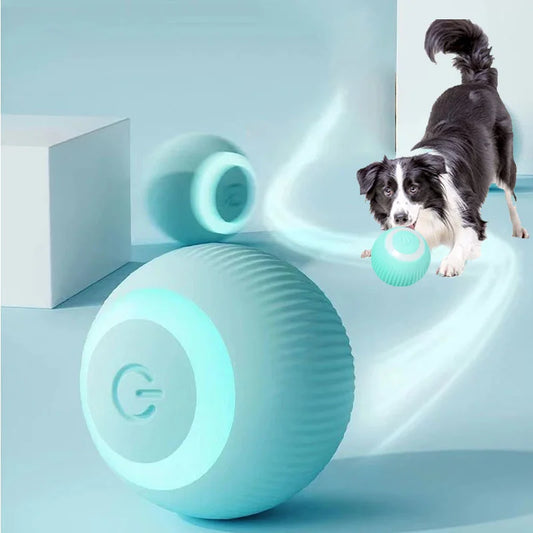 Balle interactive automatique pour chats et petits chiens – Stimulation mentale, roulement autonome