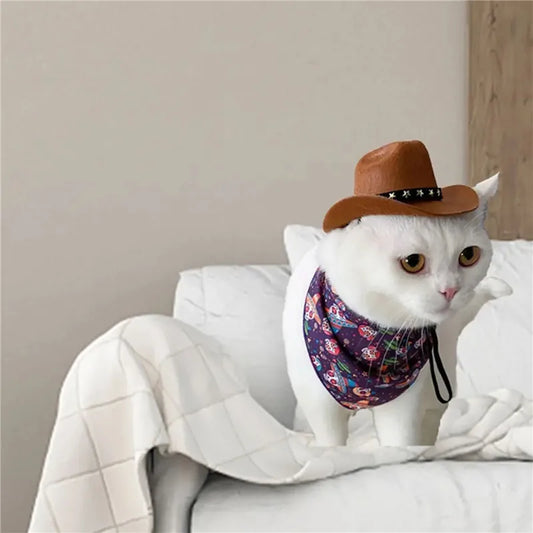 Chapeau western réglable pour chien et chat – Léger, confortable, accessoire photo