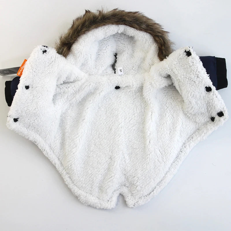 Veste Imperméable Bouledogue - Votre Armure Magique Hivernale