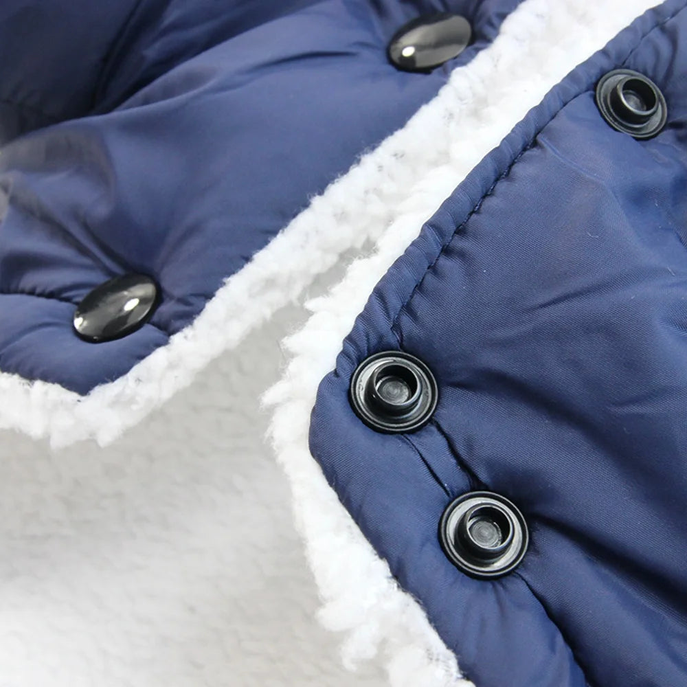 Veste Imperméable Bouledogue - Votre Armure Magique Hivernale