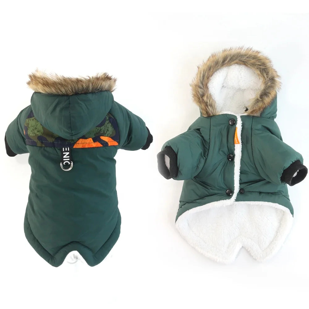 Veste Imperméable Bouledogue - Votre Armure Magique Hivernale