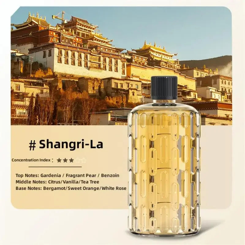 Diffuseur Arôme 5 Vitesses - Votre Maestro Magique d'Aromathérapie