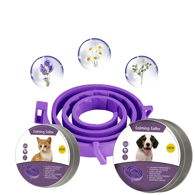 Collier Apaisant Violet - Votre Gardien Magique Anti-Stress