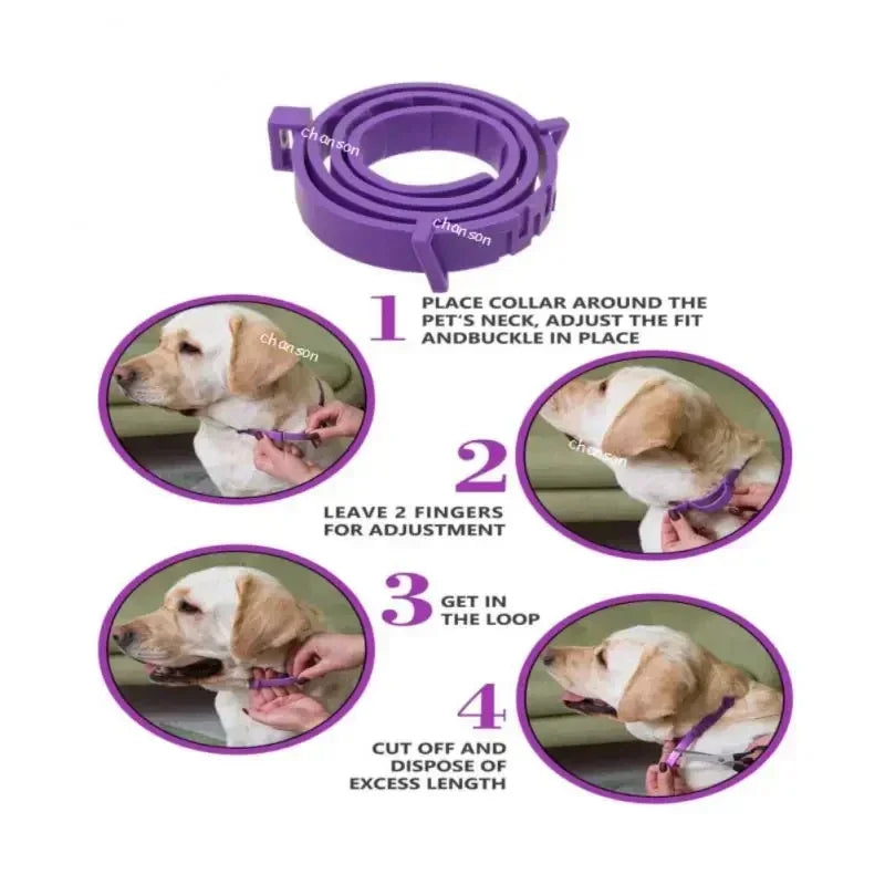 Collier Apaisant Violet - Votre Gardien Magique Anti-Stress