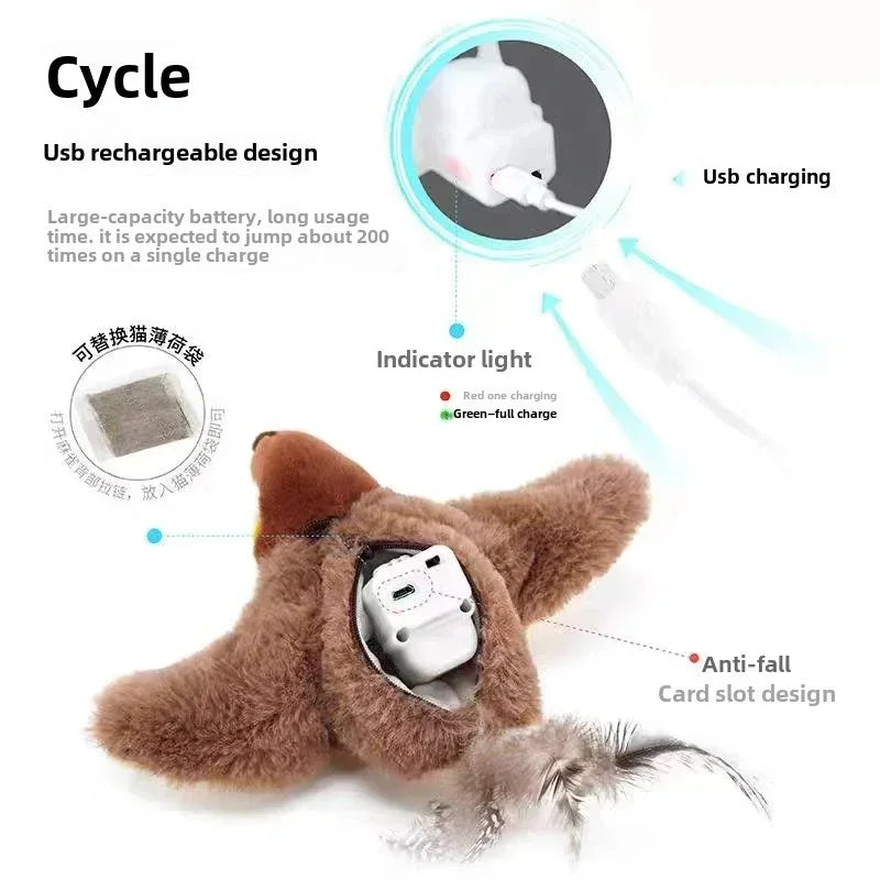 Jouet Chat Oiseau Magique - Votre Compagnon Bonheur Félin