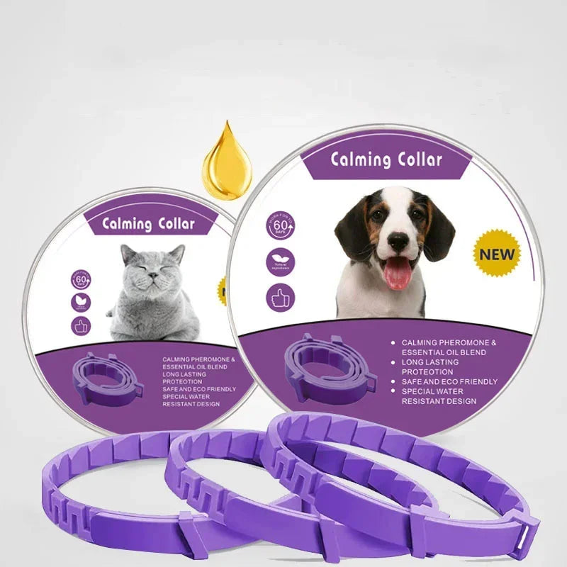 Collier Apaisant Violet - Votre Gardien Magique Anti-Stress
