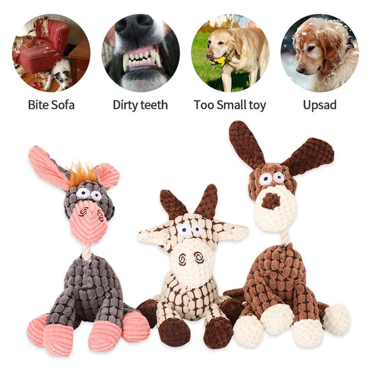 Jouet Peluche Chien Grinçant - Résistant Mâcheurs