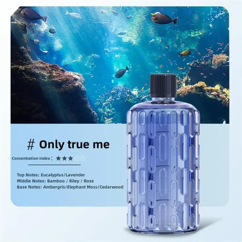 Diffuseur Arôme 5 Vitesses - Votre Maestro Magique d'Aromathérapie