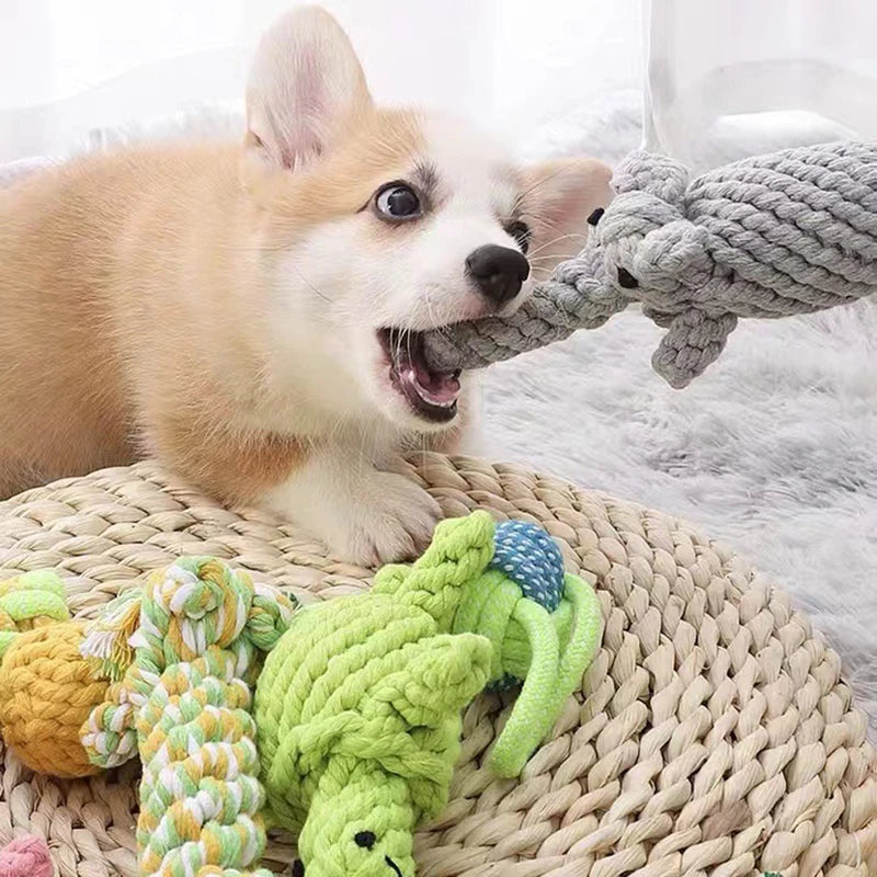 Jouet Corde Magique - Votre Dentiste Adorable