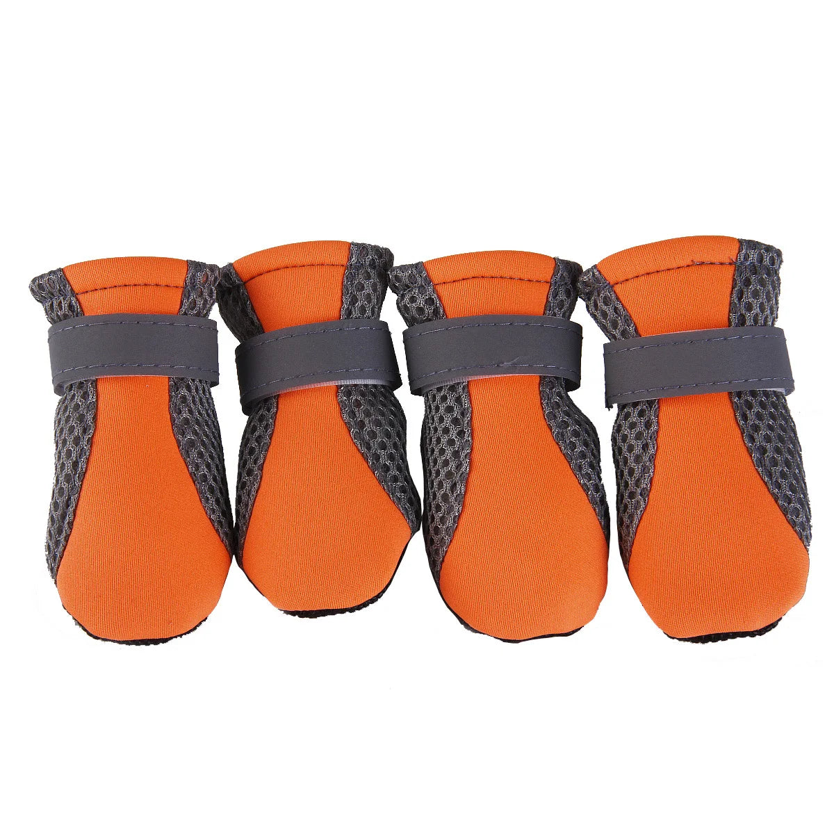 Chaussures Imperméables - Votre Armure Magique de Pattes