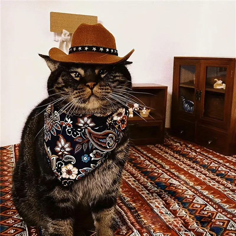 Chapeau Cowboy Magique - Votre Star Western Adorable