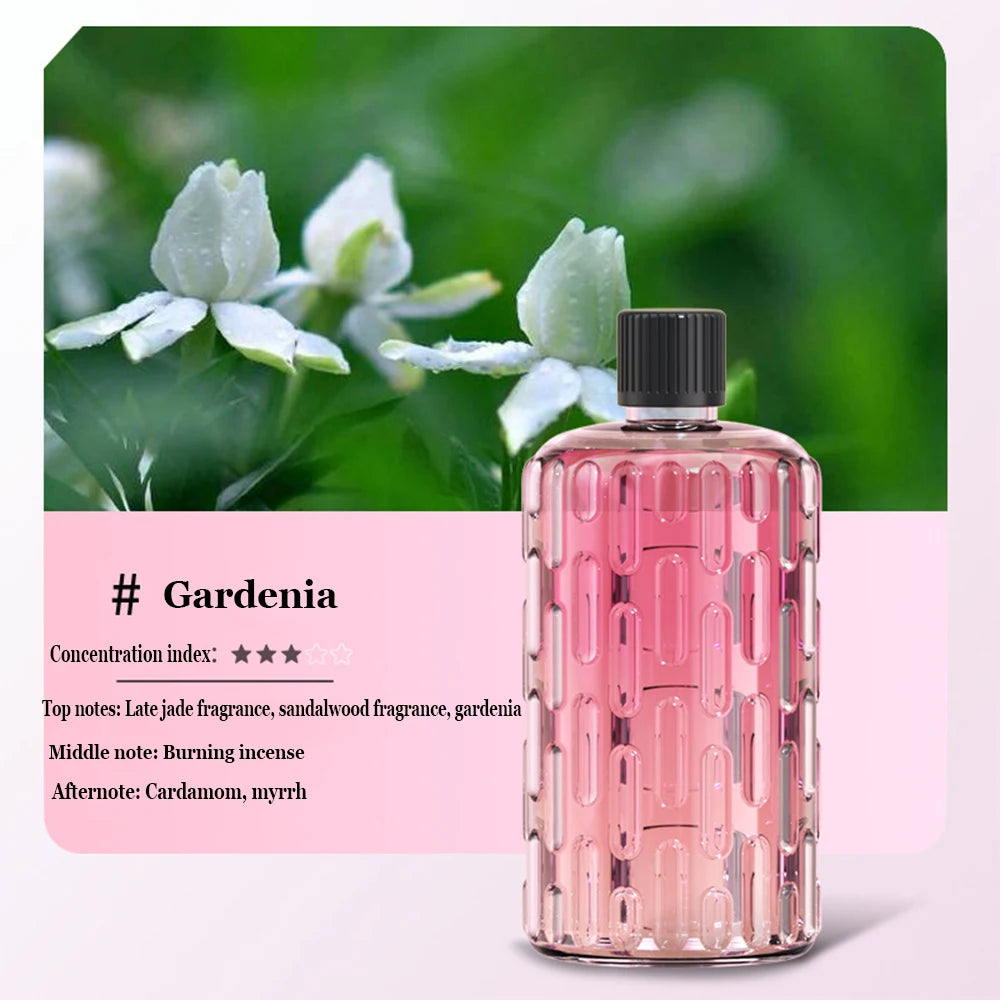 Diffuseur Arôme 5 Vitesses - Votre Maestro Magique d'Aromathérapie