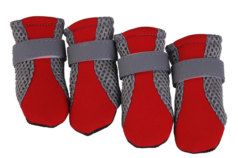 Chaussures Imperméables - Votre Armure Magique de Pattes
